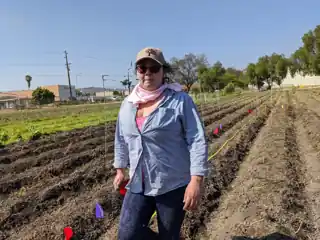 Laura standing among planted rows at a farm.