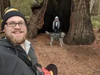 Bryce, Laura and Weir beside a giant hollow tree.